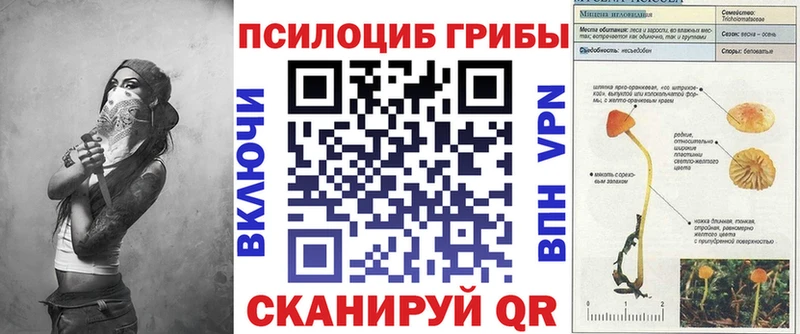 Галлюциногенные грибы Psilocybe Апатиты