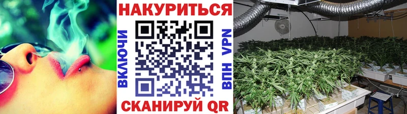 Бошки марихуана VHQ  Апатиты 